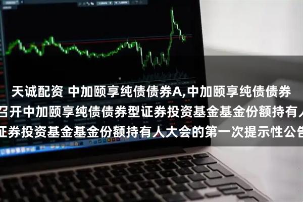天诚配资 中加颐享纯债债券A,中加颐享纯债债券C: 关于以通讯开会方式召开中加颐享纯债债券型证券投资基金基金份额持有人大会的第一次提示性公告