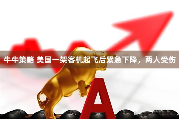 牛牛策略 美国一架客机起飞后紧急下降，两人受伤