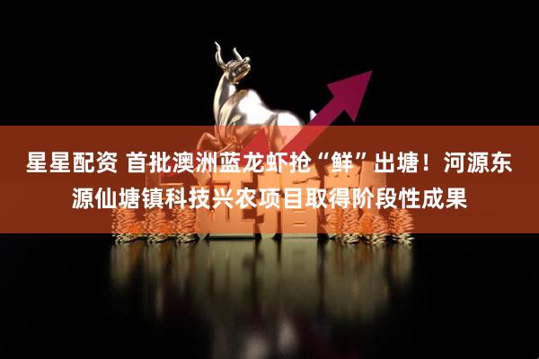 星星配资 首批澳洲蓝龙虾抢“鲜”出塘！河源东源仙塘镇科技兴农项目取得阶段性成果