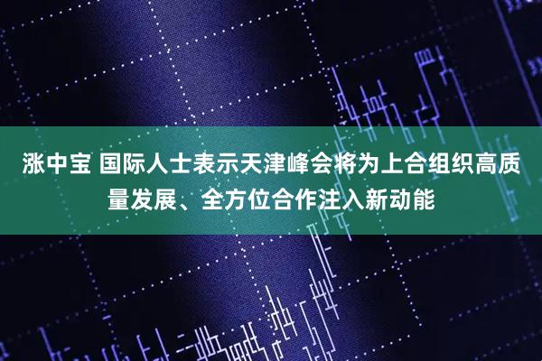 涨中宝 国际人士表示天津峰会将为上合组织高质量发展、全方位合作注入新动能